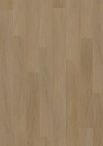 Vinylová podlaha lepená ECO 55 064 English Oak Honey, 1219,2 x 184,1 mm, Oneflor