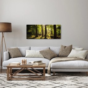 Obraz snového lesa (120x50 cm)