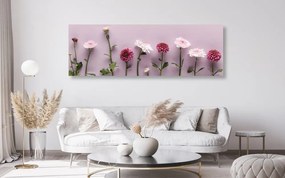 Obraz kompozícia ružových chryzantém - 120x40