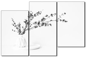 Obraz na plátne - Vetva eukalyptu v bielej váze na bielom pozadí 1272QD (105x70 cm)