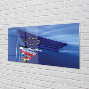 Obraz plexi Rôzne vlajky 100x50 cm