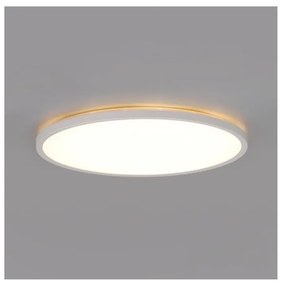 LED kúpeľňové svietidlo NIVERA LED/24W/230V IP54 pr. 30 cm biele + DO