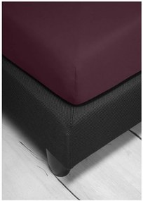 Bierbaum jersey plachta vínová - 180-200 x 200 cm