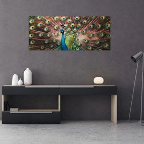 Obraz - Páv (120x50 cm)