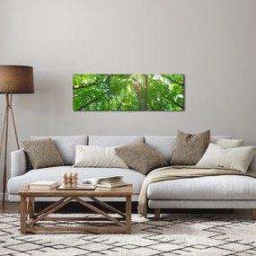 Obraz - Les (s hodinami) (90x30 cm)