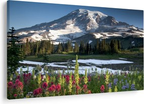 Obraz - Mount Rainier (90x60 cm)