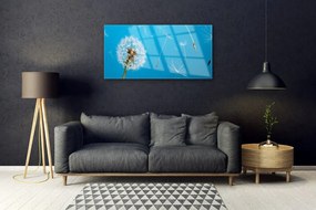 Skleneny obraz Púpavy kvety príroda 125x50 cm