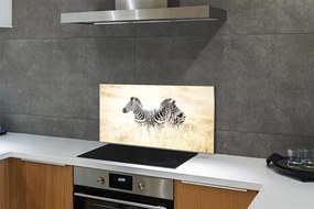 Nástenný panel  zebra box 125x50 cm