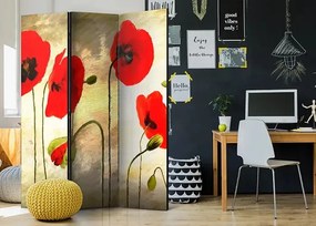 Paraván - Golden Field of Poppies [Room Dividers] Veľkosť: 135x172, Verzia: Jednostranný