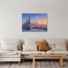 Obraz - Zimná krajina (70x50 cm)