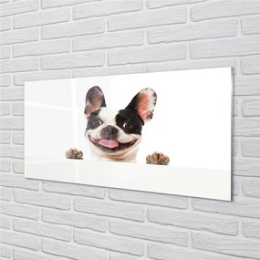 Sklenený obraz pes 100x50 cm
