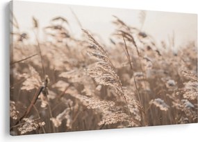 Obraz - Lúčny vánok (90x60 cm)