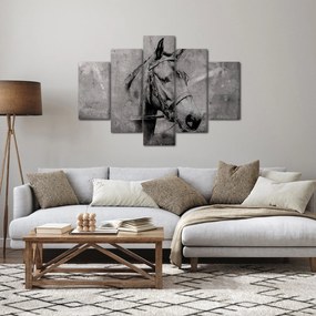 Obraz - Portrét koňa (150x105 cm)