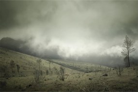 Obraz krajiny pred búrku (90x60 cm)
