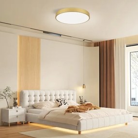 Immax NEO 07293L - LED+CCT stmievateľné stropné svietidlo SEMPLICI 60W/230V, priemer 60 cm + diaľkový ovládač