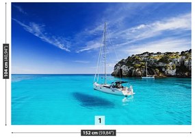 Fototapeta Vliesová Plachetnica menorca 250x104 cm