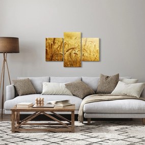 Obraz - Klasy obilia (90x60 cm)