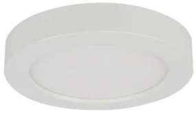 Globo 41605-18 - LED Kúpeľňové stropné svietidlo PAULA 1xLED/18W/230V IP44 GL4845