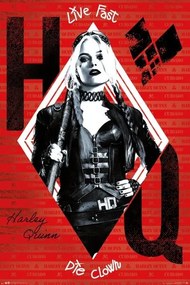 Plagát, Obraz - The Suicide Squad - Harley Quinn, (61 x 91.5 cm)