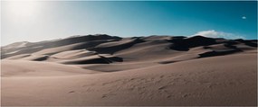 Obraz - Z púšte (120x50 cm)