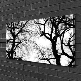 Obraz Canvas Stromy príroda čiernobiely 140x70 cm