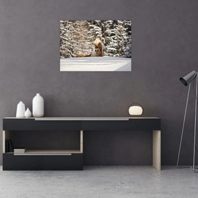 Obraz - Kôň v zimnej krajine (70x50 cm)