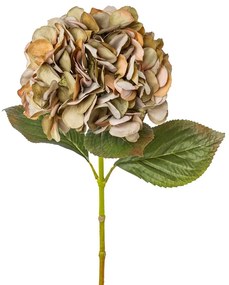 Gasper Hortenzia 65 cm zeleno/ružová
