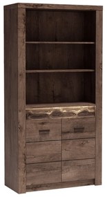 Tempo Kondela Regál, jaseň tmavý, INFINITY I-05