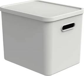 Rotho Úložný box, rovný s vekom, 27l, matne biela ALBU LIGHT, 37x29x30