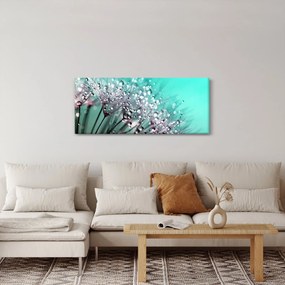 Obraz - orosená rastlina (120x50 cm)
