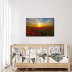 braz poľa vlčích makov (90x60 cm)