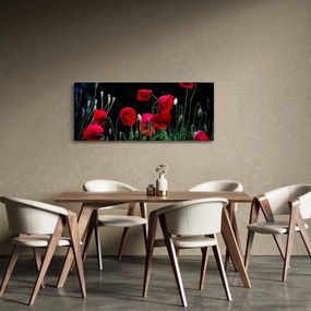 Obraz - Tanec vlčích makov (120x50 cm)