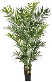 Umelá rastlina Kentia palm 260 cm