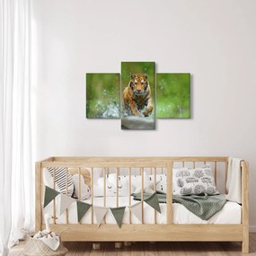 Obraz - Bežiaci tiger (90x60 cm)
