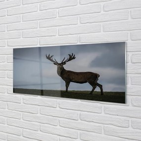 Obraz na akrylátovom skle Lúčenie so slobodou 120x60 cm