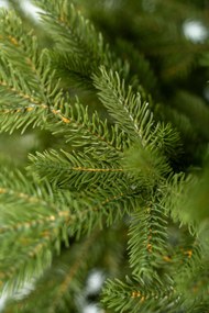 Limpol Jedľa Exclusive Lux 1,70 m