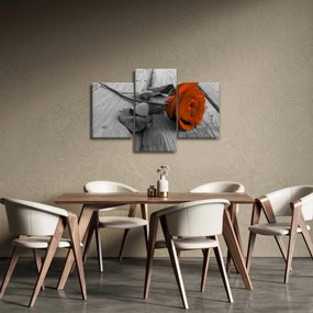 Obraz - Oranžová ruža (90x60 cm)