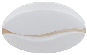 Globo 41790-20 - LED stropné svietidlo LETICIA LED/24W/230V pr. 39 cm