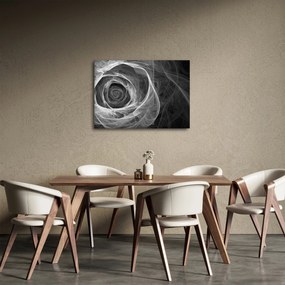 Obraz - Abstraktné ruže čiernobiela (70x50 cm)