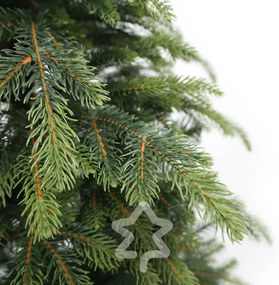 Smrek Natura 210 cm