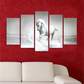 Viacdielny obraz White Horse 110x60 cm