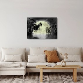 Sklenený obraz - Spln nad hladinou, čiernobiely variant (70x50 cm)