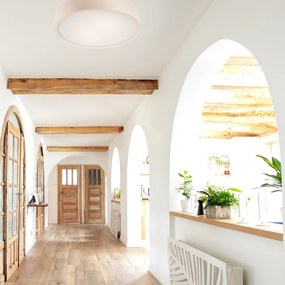 Stropné svietidlo 2xE27/60W/230V