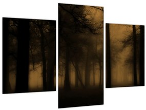 Obraz - Temný les (90x60 cm)