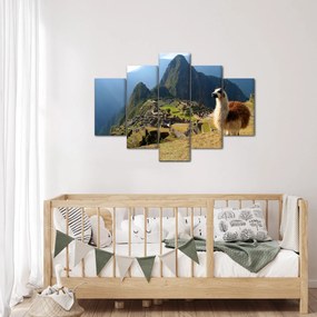 Obrázok - Lama a Machu Picchu (150x105 cm)