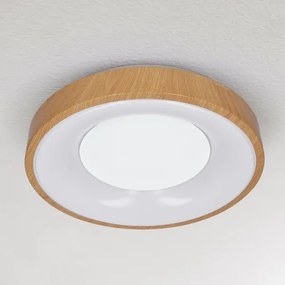 Brilagi - LED Stmievateľné stropné svietidlo DORIA LED/48W/230V 3000-6500K + DO