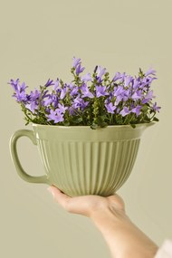 Ib Laursen Misa na cesto Mynte Wasabi