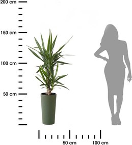 Květináč URBANIKA ECO Wood 46,6x25,5 cm zelený