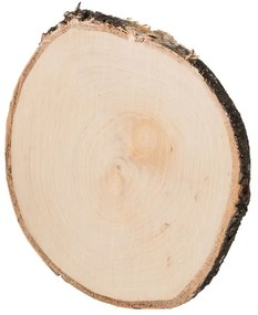 ČistéDrevo Drevená podložka z kmeňa brezy 15-20 cm