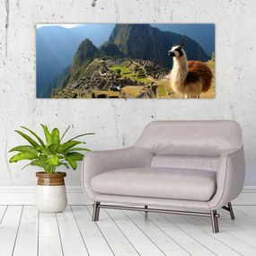 Obrázok - Lama a Machu Picchu (120x50 cm)